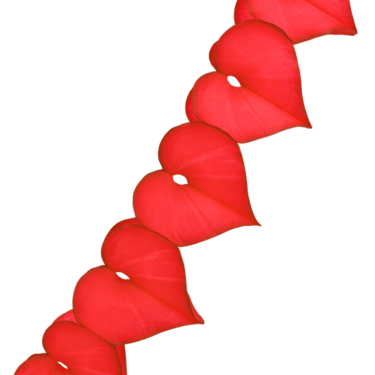 Heart Garland 3.6m Classic Red