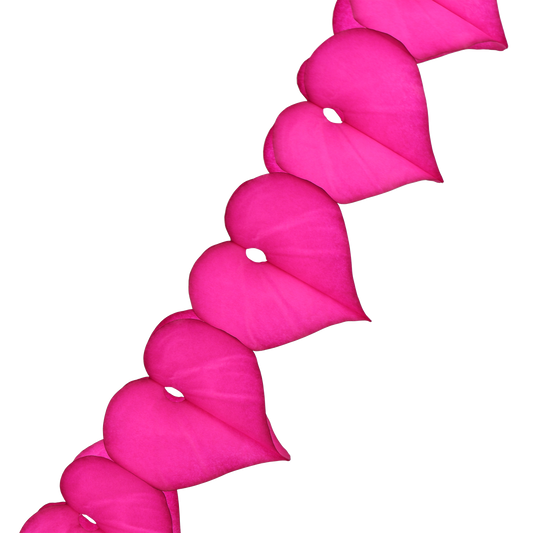 Heart Garland 3.6m Fucshia