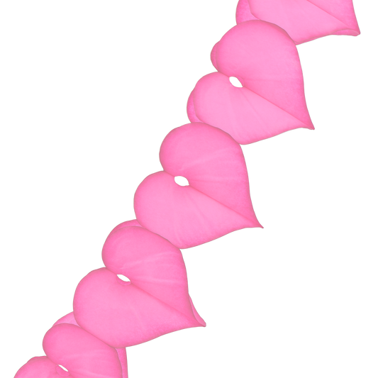 Heart Garland 3.6m Candy Pink