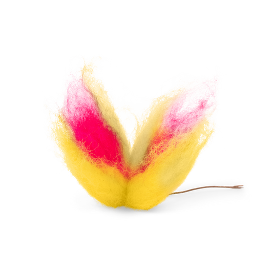 Tulip Wisp Sunset, 8 cm