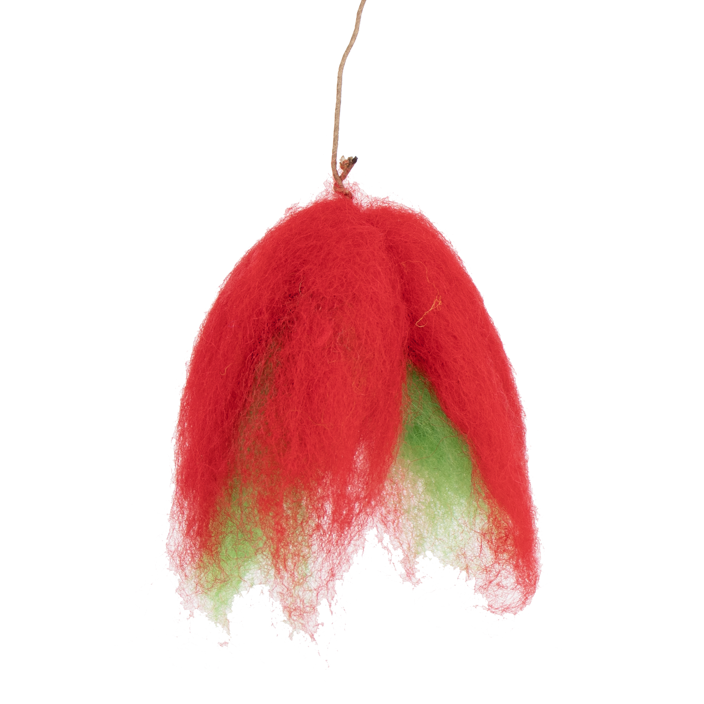 Tulip Wisp Christmas, 8 cm