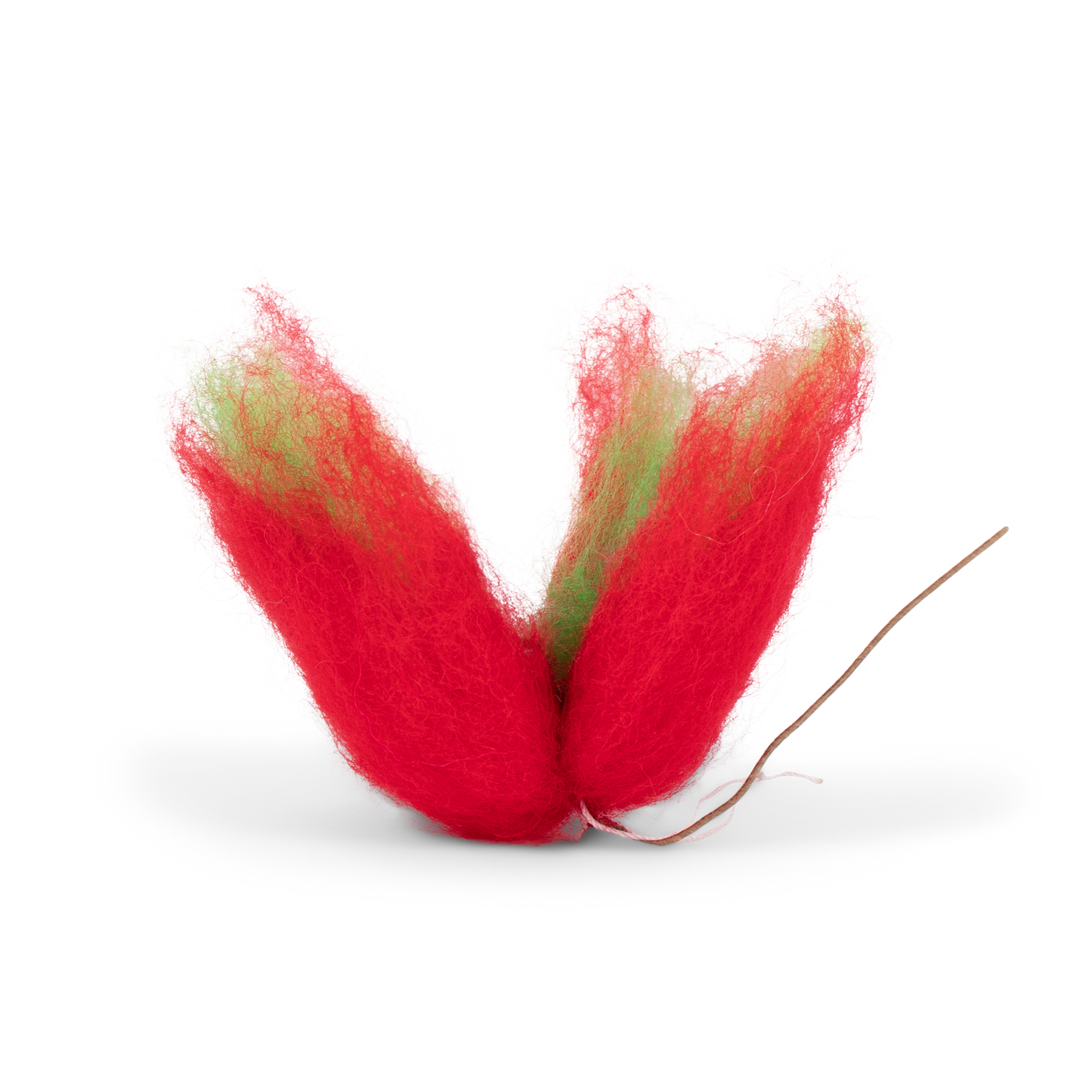 Tulip Wisp Christmas, 8 cm