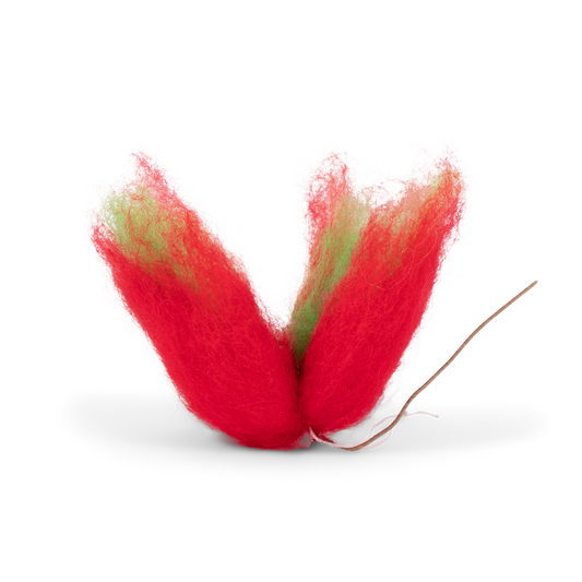 Tulip Wisp Christmas, 8 cm